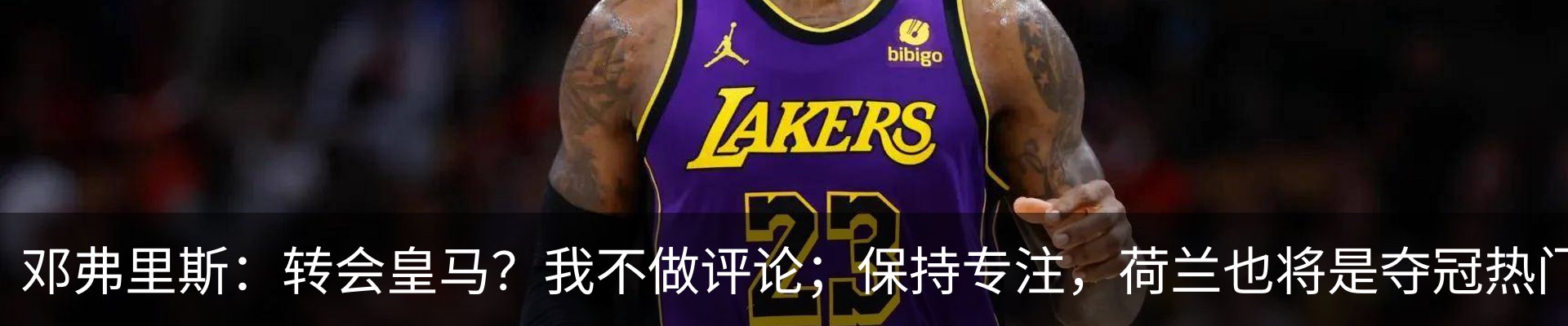 最新动态